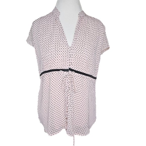Y2K Large Light Pink Chirron Swiss Dot Blouse Pontuck Pleats Sheer Cap Sleeve - Picture 9 of 9